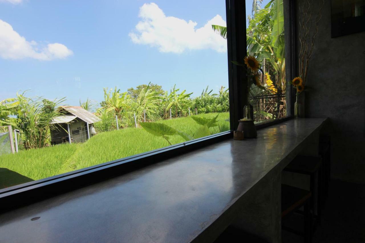 De Vir House Lägenhet Canggu Exteriör bild