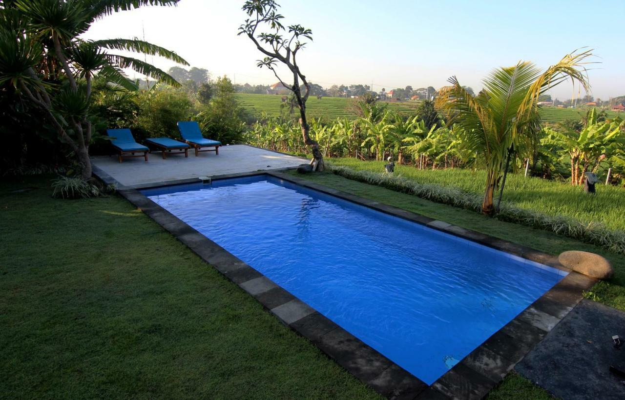 De Vir House Lägenhet Canggu Exteriör bild