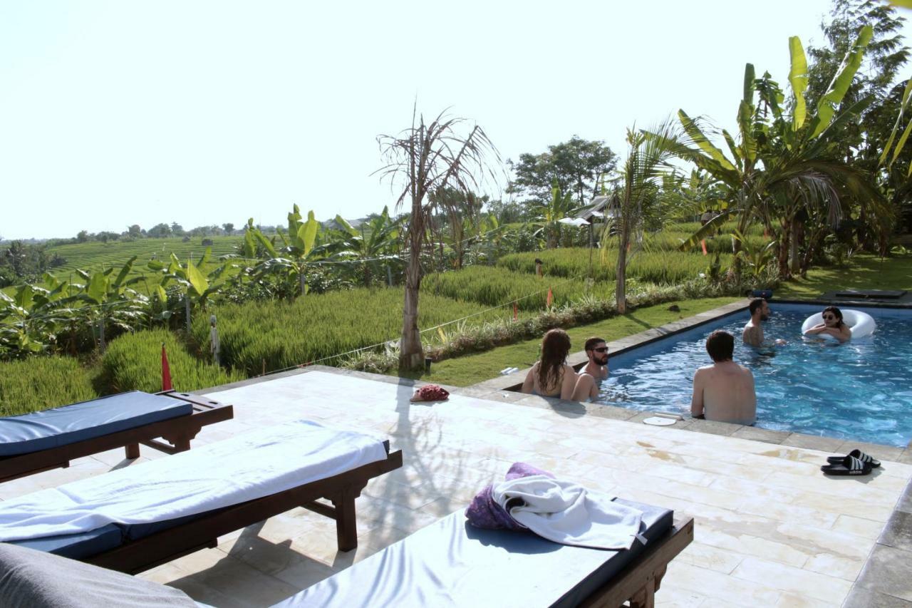De Vir House Lägenhet Canggu Exteriör bild